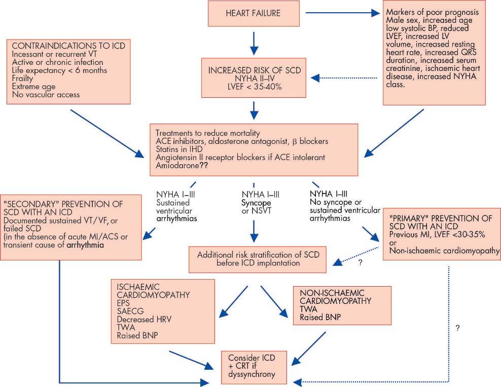 Figure 5 Algorithm for the assessment and management of patients with heart failure at risk of sudden ardia death.
