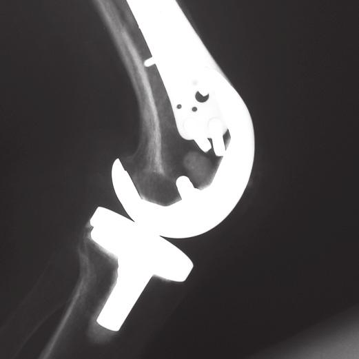 The comprehensive care of the orthopaedic patient not only requires a basic medical knowledge, but also entails a more