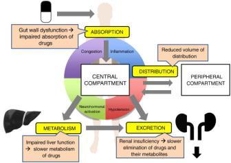 !! ACTIVE DRUGS - BIOLOGICALLY ACTIVE PRODRUGS