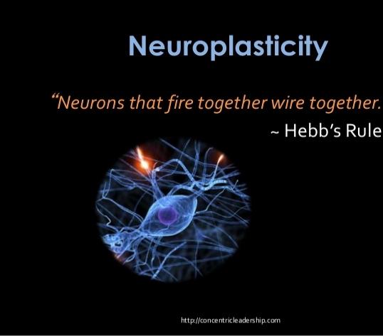 Functional Plasticity - the brain's ability to move functions from a damaged area of the brain to other undamaged
