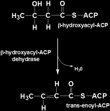 (3) Dehydration: In this reaction a hydroxyl group from the C3 and a hydrogen atom from the C2 released in