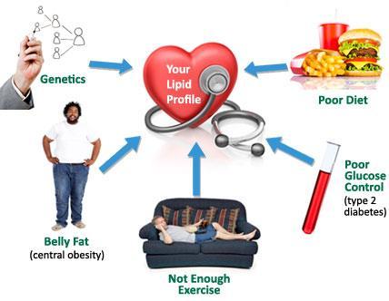 Control Cholesterol Fatty substance your body need to make cells.