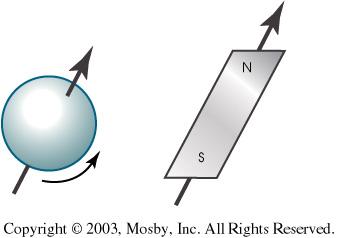 A proton with magnetic properties can be compared to a tiny bar magnet. The curved arrow indicates that a proton spins on its own axis.