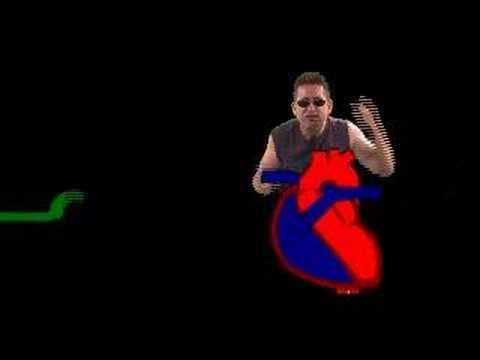Heart Actions Cardiac Cycle: One complete heartbeat.