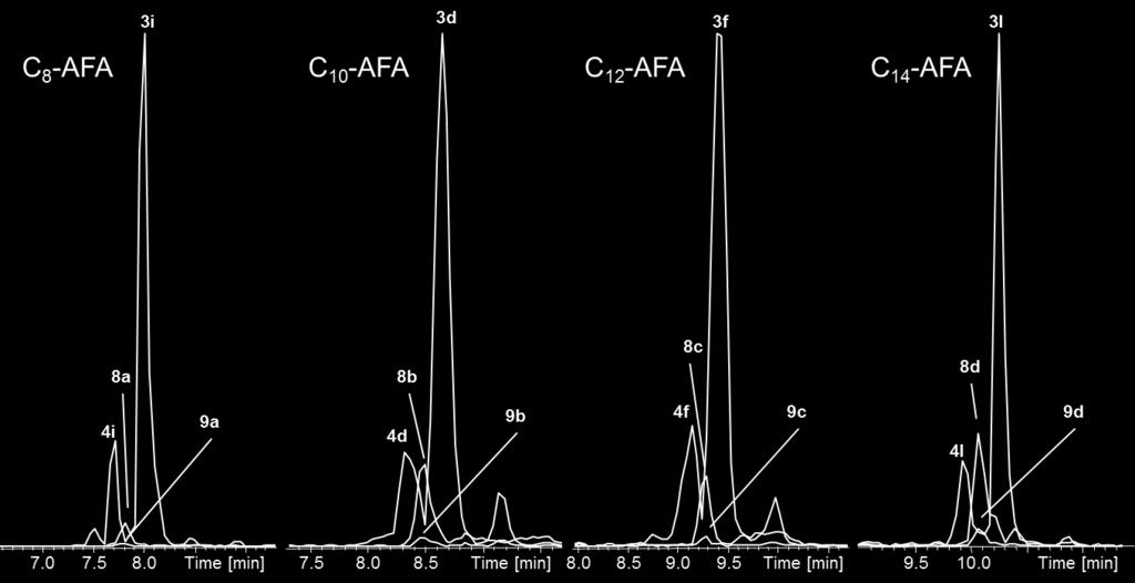 3-hydroxy-AFAs (detected as 9a-d, blue) can be detected at high