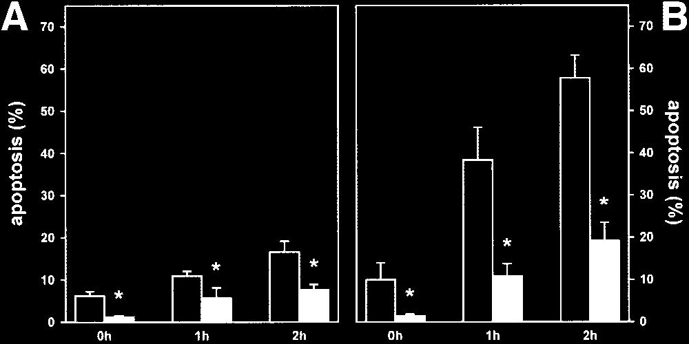 Livers were preserved for (A) 24 hours or (B) 48 hours with 4 C HTK solution, substituted with either DMSO (open bars) or PFT- (filled bars). Data are given as mean SEM. *P.05 vs. DMSO. 3B).