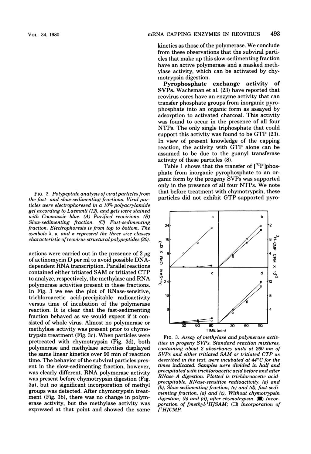 VOL. 34, 1980 U 1 2- cr 3M,A Co. FIG. 2. Polypeptide analysis of viralparticles from the fast- and slow-sedimenting fractions.
