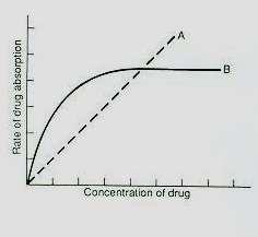 Relationship between drug concentration and absorption rate For a