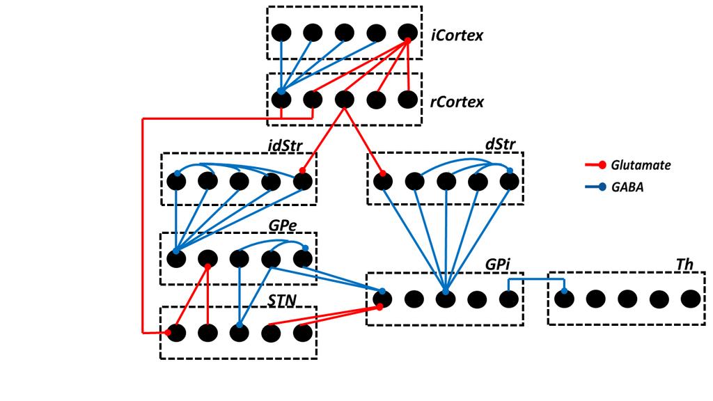 Figure 2.0-2: Details of synaptic connections in the network model.