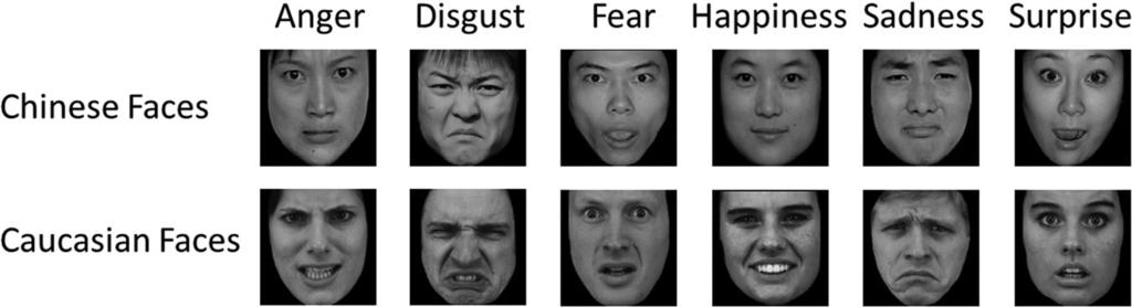 2448 X. YAN ET AL. Figure 1. Example face images for six emotions posed by different models from the Chinese Facial Affective Picture System (CFAPS; Gong et al., 2011; Wang & Luo, 2005) [Y. J. Luo].