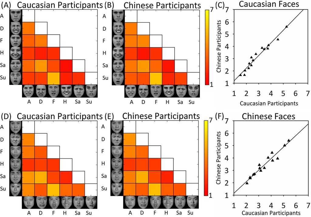 THE QUARTERLY JOURNAL OF EXPERIMENTAL PSYCHOLOGY 2449 Figure 2. Correlation analyses of similarity rating patterns between Western Caucasian and Chinese participants.