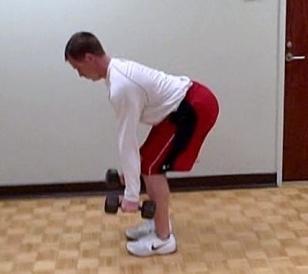 Bent-over Row ( arm DB) Coaching Tips: Select the appropriate weight.