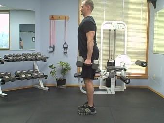 Seated Cable Row Coaching Tips: Select the appropriate weight.