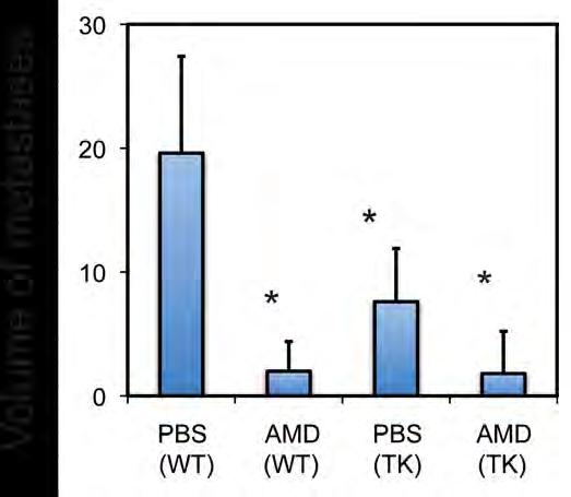 CXCR4-KO BMT * CXCR4/TK-KO BMT Volume of metastases 20 15 10 5 0 Ctrl BMT * CXCR4-KO BMT * CXCR4/TK-KO BMT Number of metastases 12 9 6 3 0 PBS (WT) AMD (WT)