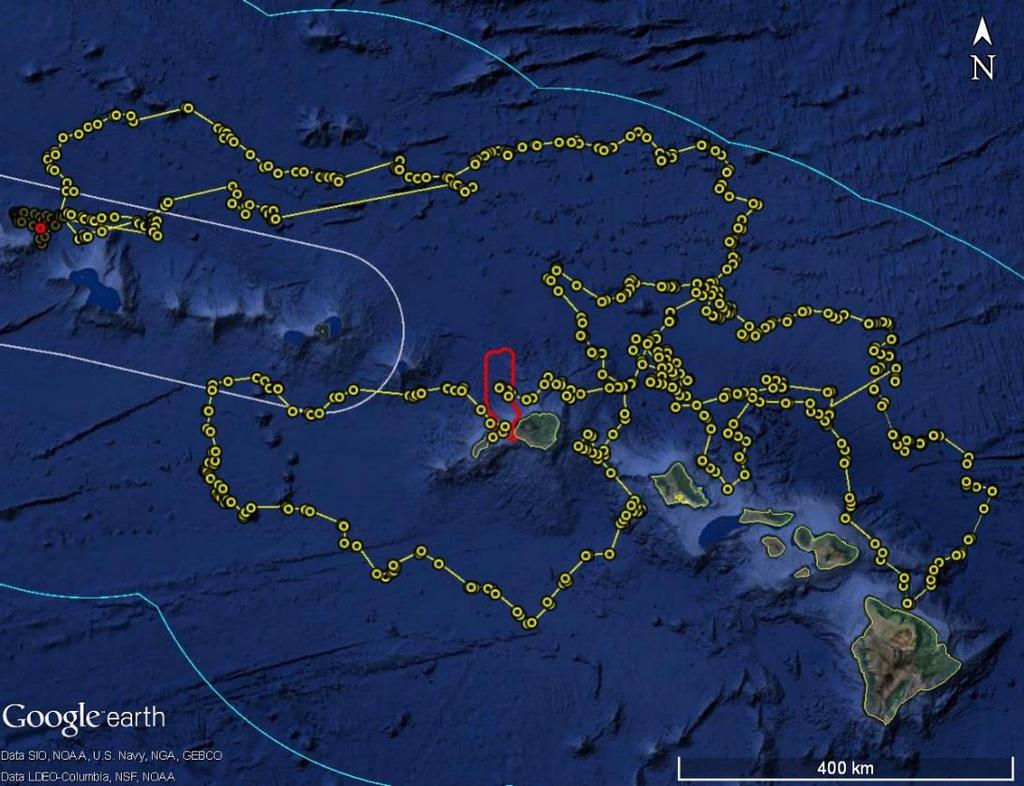 Locations from two pelagic short-finned pilot whales tagged in 2014 and 2015.