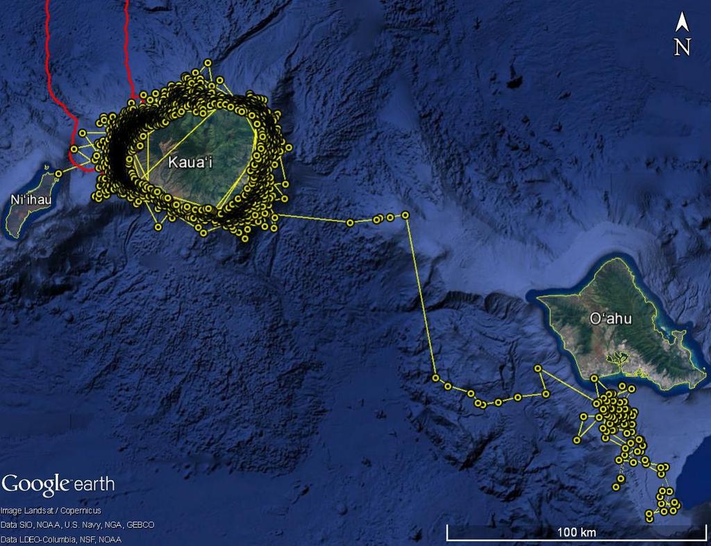 Figure 8. Locations (yellow circles) of satellite tagged bottlenose dolphins (n=10).
