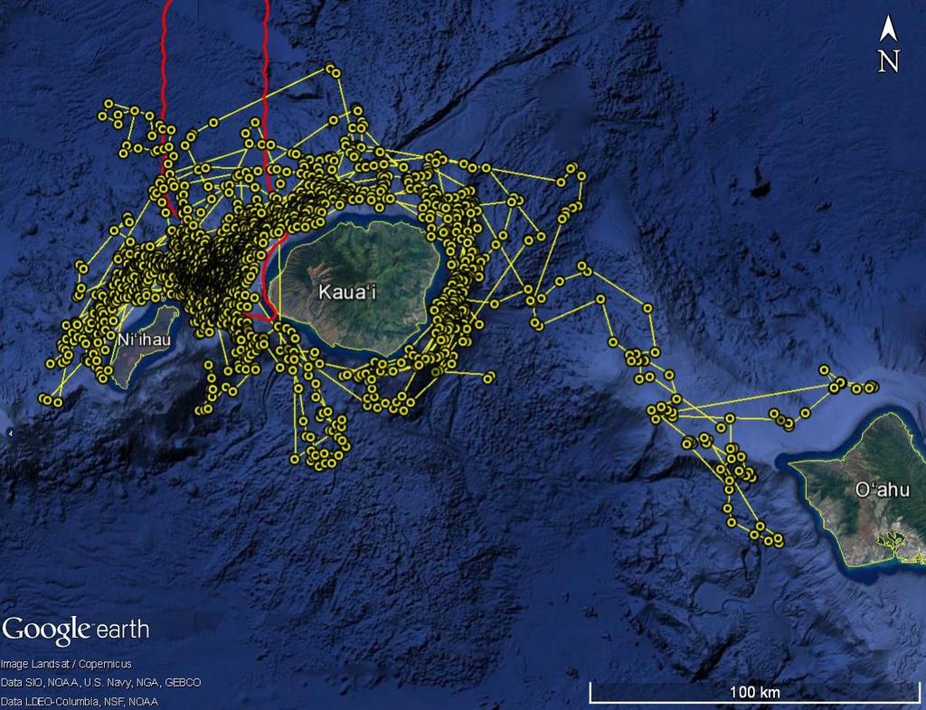 Figure 9. Locations (yellow circles) of satellite tagged rough-toothed dolphins (n=8).