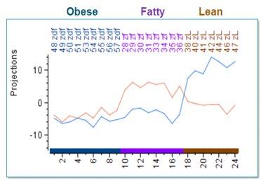 Power of the LC/MS Data Interrogating the LC/MS data, it was observed that there were many lipids changes amongst the three groups of rats (lean, fatty, and obese).