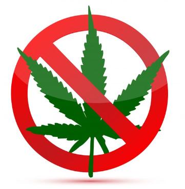 PERSONAL USE OF NON-MEDICAL MARIJUANA Limitations on personal use of marijuana: Visibility Cultivation and processing marijuana plants may not be visible from a public place.