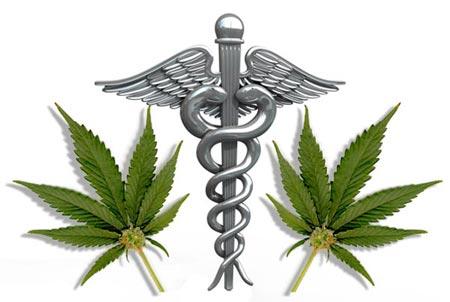 TYPES OF LICENSED MEDICAL USE MARIJUANA Medical Use Marijuana licensed by the Department of Public Health (105 CMR 725.