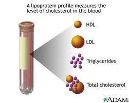 GENERAL HEALTH PANEL: LIPID PANEL Lipids are a group of fats and fat-like substances that are important constituents of cells and sources of energy.
