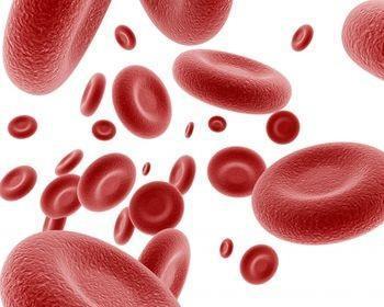 Red Blood Cells Red blood cells are produced in the bone marrow and released into the bloodstream as they mature. They contain hemoglobin, a protein that transports oxygen throughout the body.