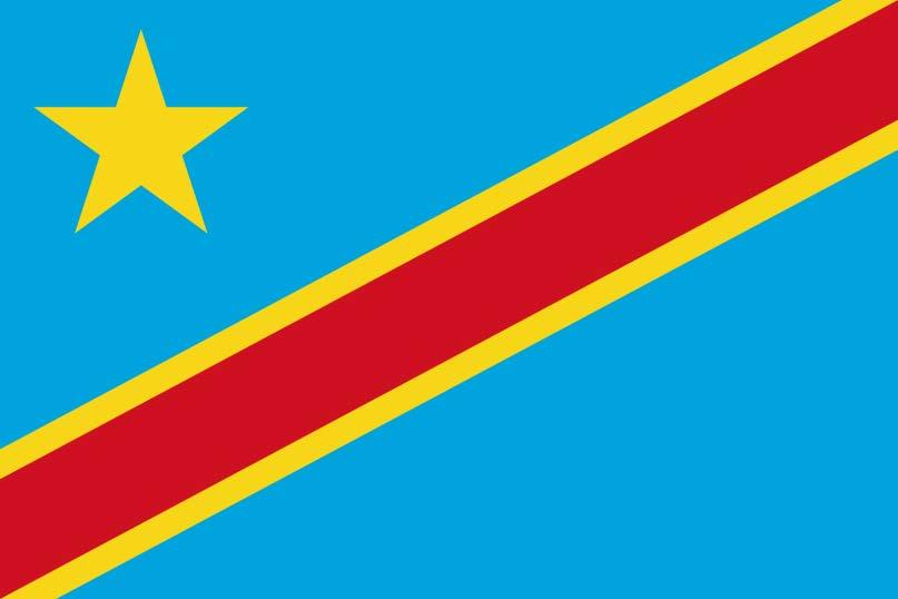 Democratic Republic of the Congo Revised our national action plan to increase integration of PPFP and put in place a task-force of multi-disciplinary members to carry out recommendations