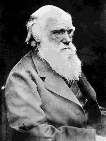 Darwin s dilemma 1 Meiosis & Inheritance Lecture 18 Summer 2014 How do organisms pass