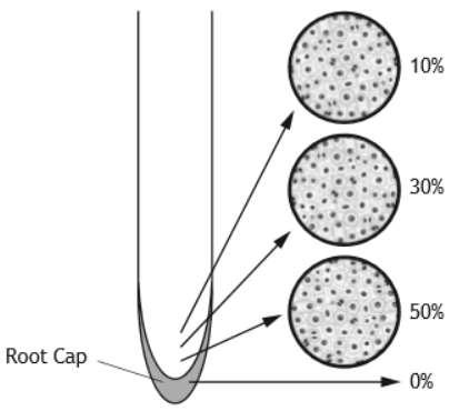 National 5 Unit 2: Multicellular Organisms Topic 2. Producing new cells. The diagram below shows the percentage of cells dividing in four areas of an onion root.