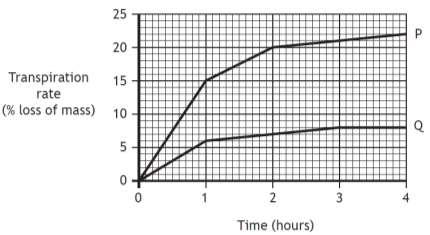 (b) The graph below shows transpiration rates of two plants, P and Q.
