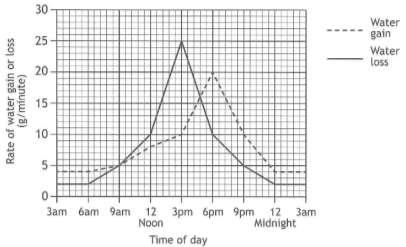 6. The graph below shows the rate of water gain and water loss by a plant during a 24-hour period. (a) (i) Calculate the number of hours during which the water loss was greater than 5g per minute.