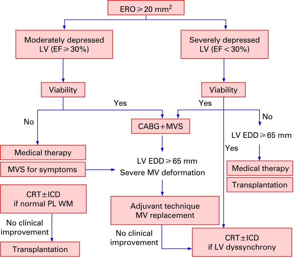 Management of patients with severe functional ischaemic mitral regurgitation.