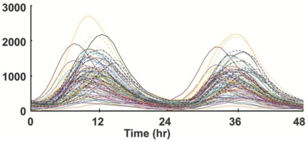 Oscillations reflect changes in expression levels of mpre1 protein or