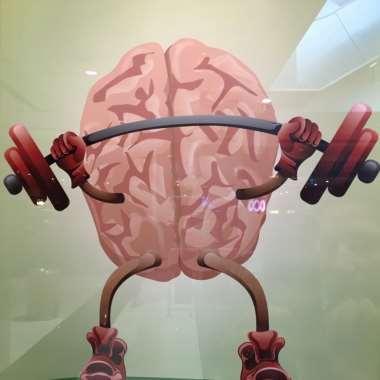 Physical Exercise Does exercise prevent dementia? Does exercise improve cognition and brain health?