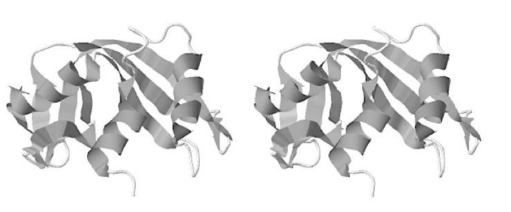 For some proteins, tertiary structure is the last stage in their folding, and there is no higher level of structure.