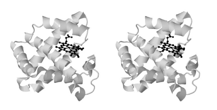 secondary structures). The whole shape of the protein (the tertiary structure) is then held in place by the formation of four disulphide bridges.