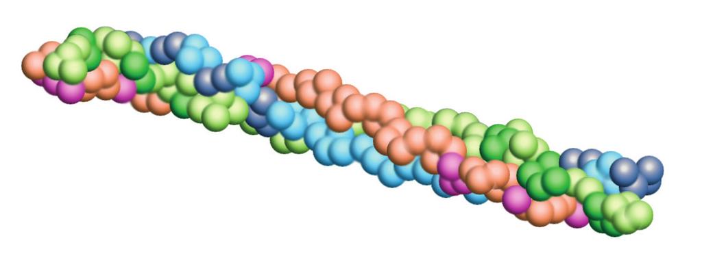 The triple helix is more extended and does not have the pattern of hydrogen bonding found in an alpha helix.