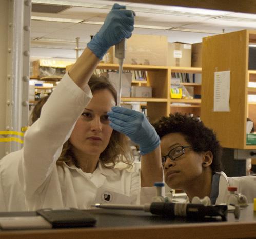 The group studies the unique biology of melanoma with the goal of developing new therapies, diagnostic tests and preventative measures to curb the rising death rates from melanoma.