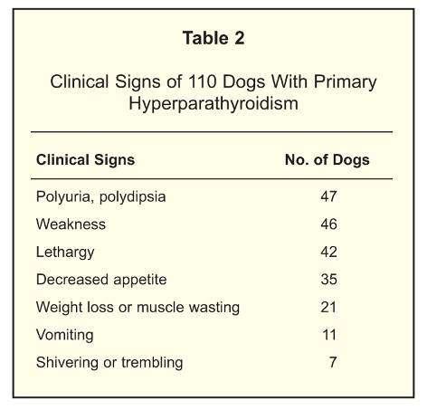 Canine hyperparathyroidism Incidental laboratory finding (geriatric screening) 50% urinary symptoms (stones or infection) 40% nephrolithiasis 90%