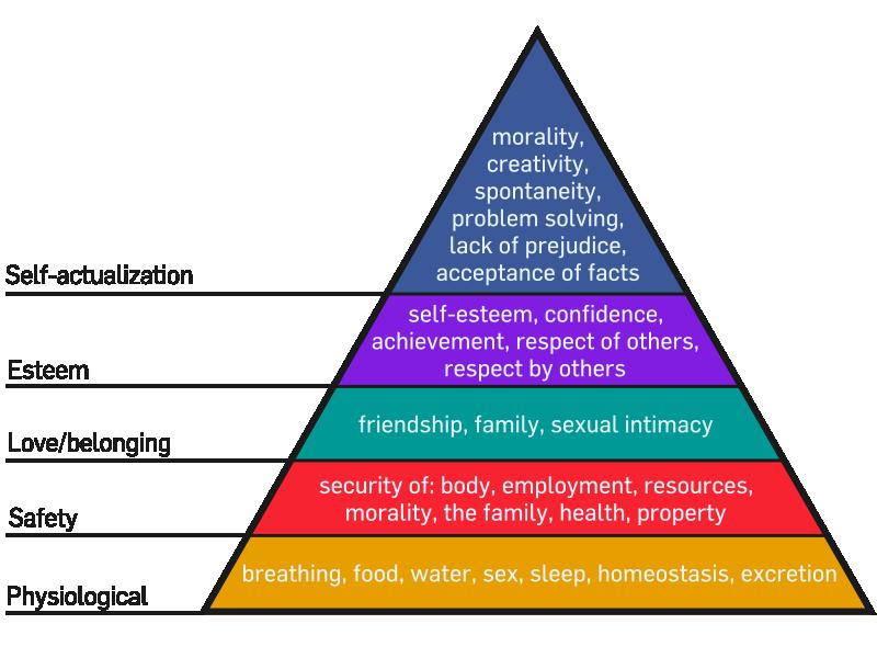 The Hierarchy of Human Needs Biological and Physiological needs. A human being can not function well without water for example, so these needs are critical for human survival Safety Needs.