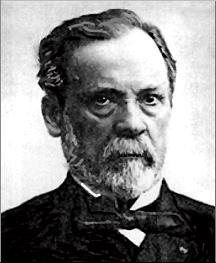 Name: Louis Pasteur Discovery: Germ theory Career: Before this breakthrough What kinds of ideas or methods did doctors have before this breakthrough?