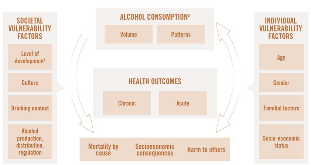Conceptual causal model of alcohol consumption and health outcomes Societal Vulnerability factors Level of