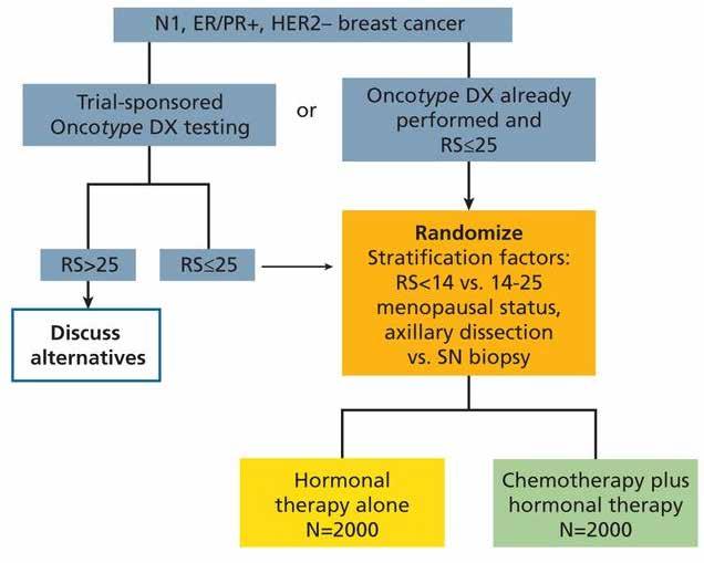 A Phase III, Randomized Clinical Trial of Standard Adjuvant Endocrine Therapy +/- Chemotherapy in Patients with