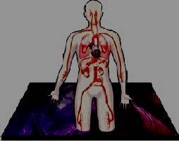 around the body Anatomy Arteries carry oxygenated