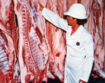 Integrating risk assessment in legislation Risk-based meat inspection without incisions April 2004 Reg.
