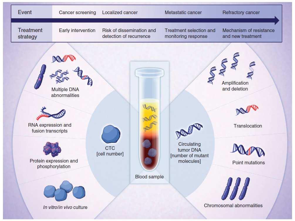 Liquid biopsy Circulating free DNA (cfdna) Circulating tumor DNA