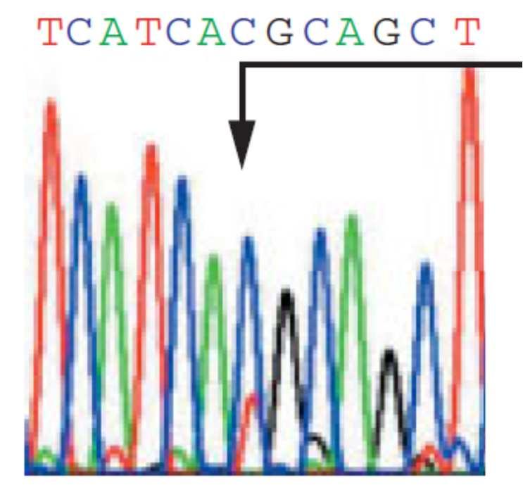 Sanger sequencing <T790M (C to T transition)> Sanger