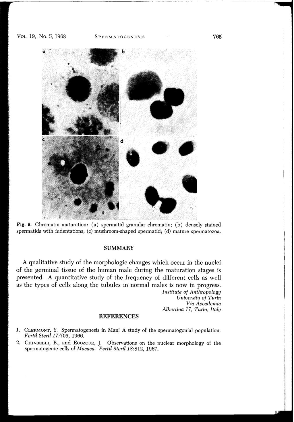 VOL. 19,. No.5, 1968 SPERMATOGENESIS 765 Fig. 9.