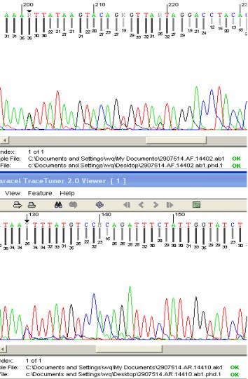 Mixture Detection Alternative Method: use detection of mixtures in the sequencing chromatogram to catch mutation in the act (instead of inferring