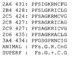 HEME BINDING POCKET P450 signature sequence - FxxGxxxCxG